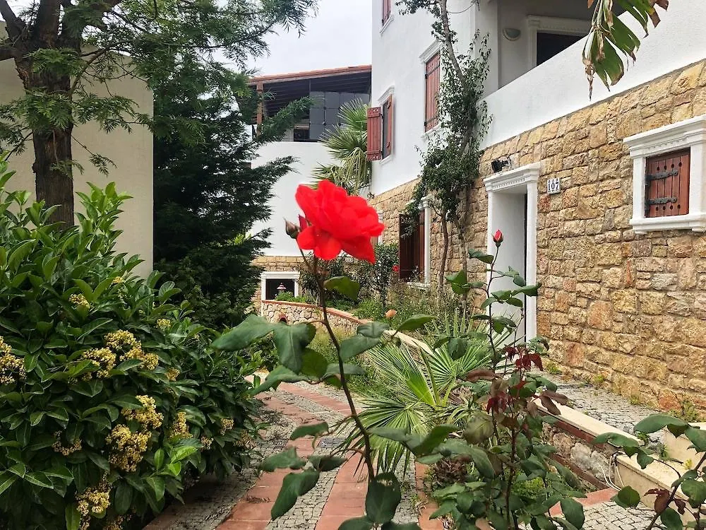 Arion Resort Hotel Gümüşlük 3*,